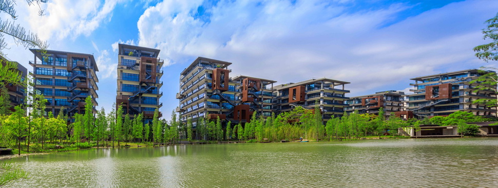 太陽能路燈，太陽能廠家，太陽能價格