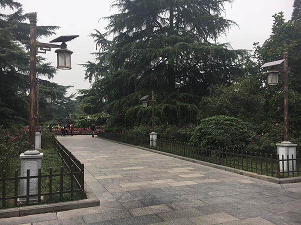 源碼太陽能路燈，太陽能路燈廠家，太陽能路燈價格