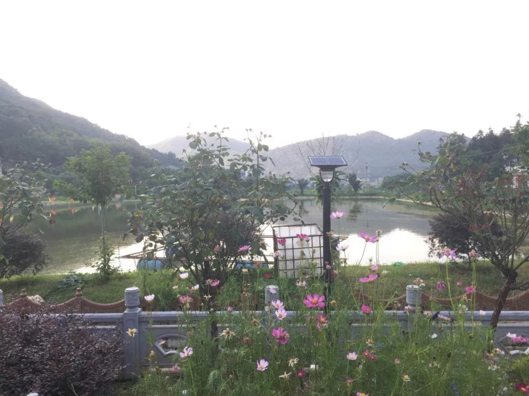 源碼，你所不知道的另一面