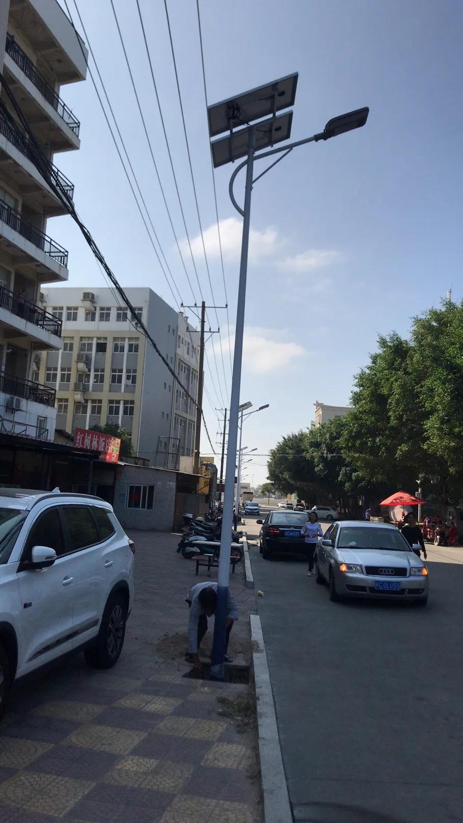 云鵬燈〡九萬(wàn)里風(fēng)安稅駕，云鵬今悔不卑飛