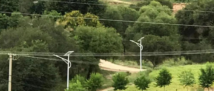 案例賞析〡云雁高飛，助力鄉村振興