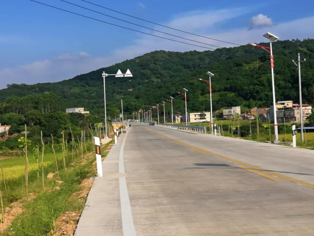 案例賞析〡云雁高飛，助力鄉(xiāng)村振興